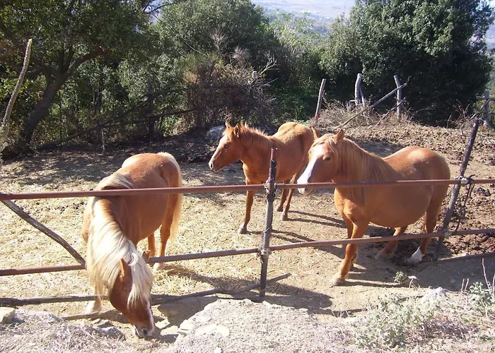 Belvilla By Oyo Castellaro Paciano